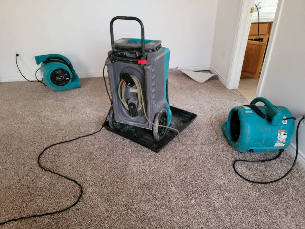 Best Flood damage cleanup  in Chadbourn, NC
