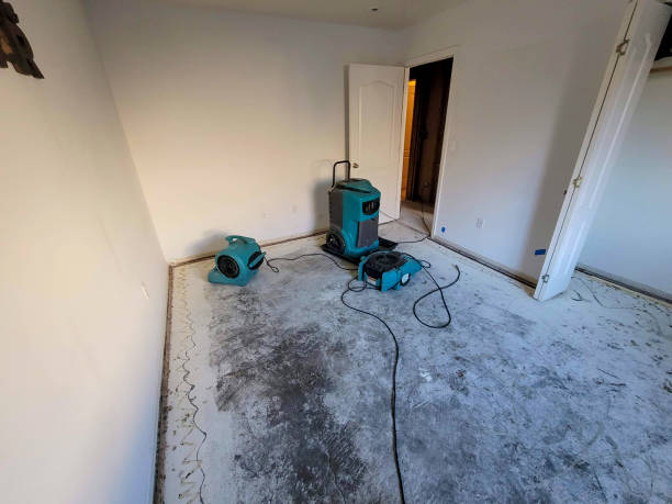 Best 24/7 water damage repair  in Chadbourn, NC