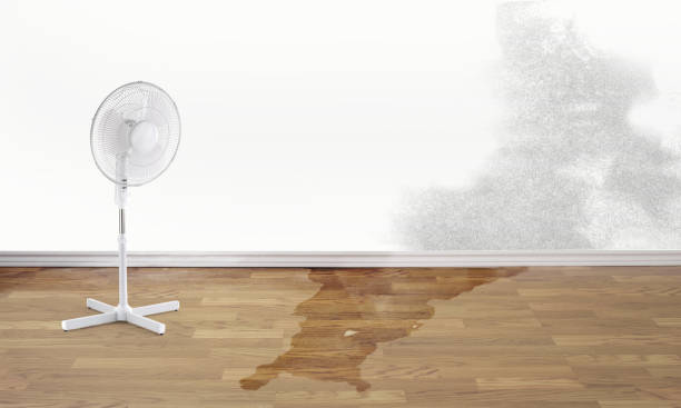 Best Commercial water damage restoration  in Chadbourn, NC