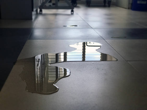 Best Water damage restoration near me  in Chadbourn, NC