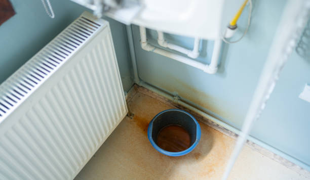 Best Water damage restoration mold remediation  in Chadbourn, NC