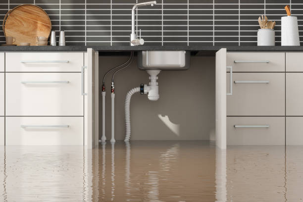 Best Water damage cleanup near me  in Chadbourn, NC