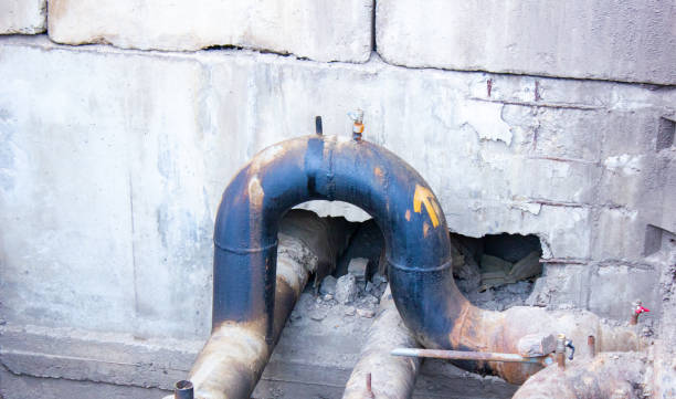 Best Basement water damage restoration  in Chadbourn, NC