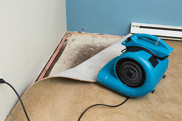 Best Residential water damage restoration  in Chadbourn, NC